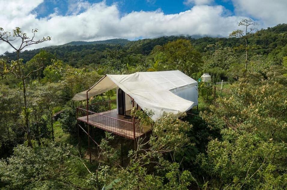 Garza del Sol Glamping Río Celeste Buganvilia Rio Celeste Exterior foto