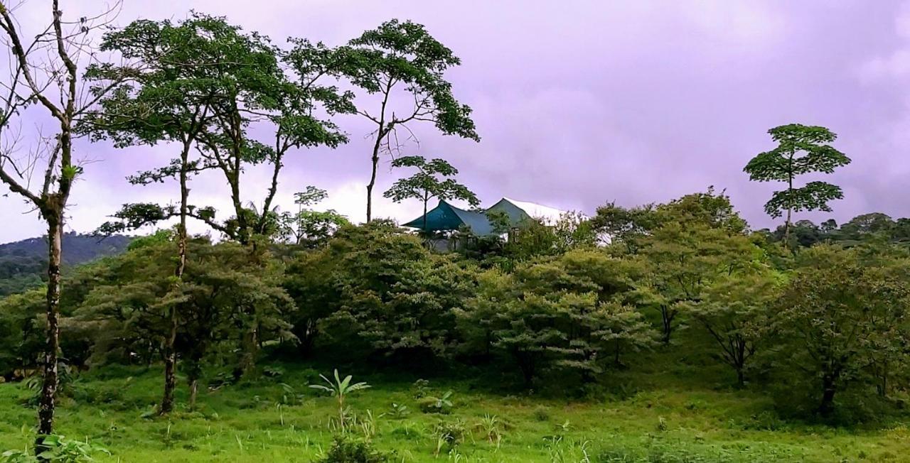 Garza del Sol Glamping Río Celeste Buganvilia Rio Celeste Exterior foto