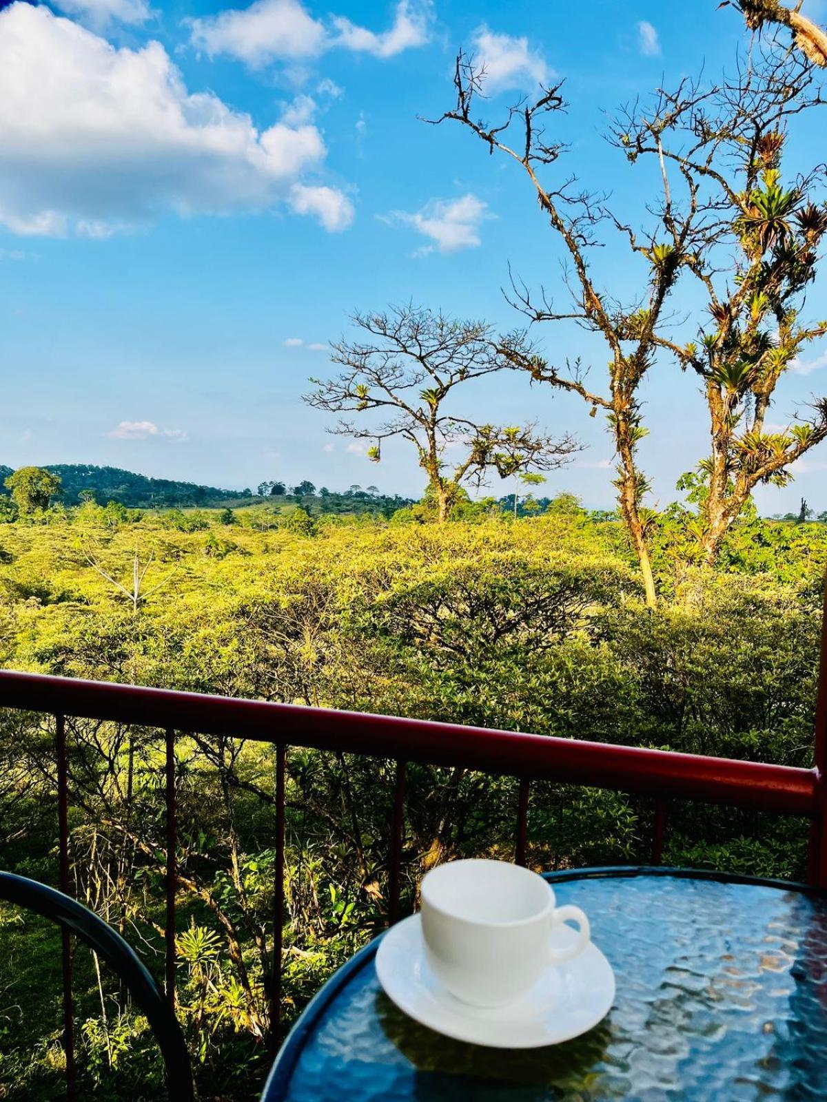 Garza del Sol Glamping Río Celeste Buganvilia Rio Celeste Exterior foto