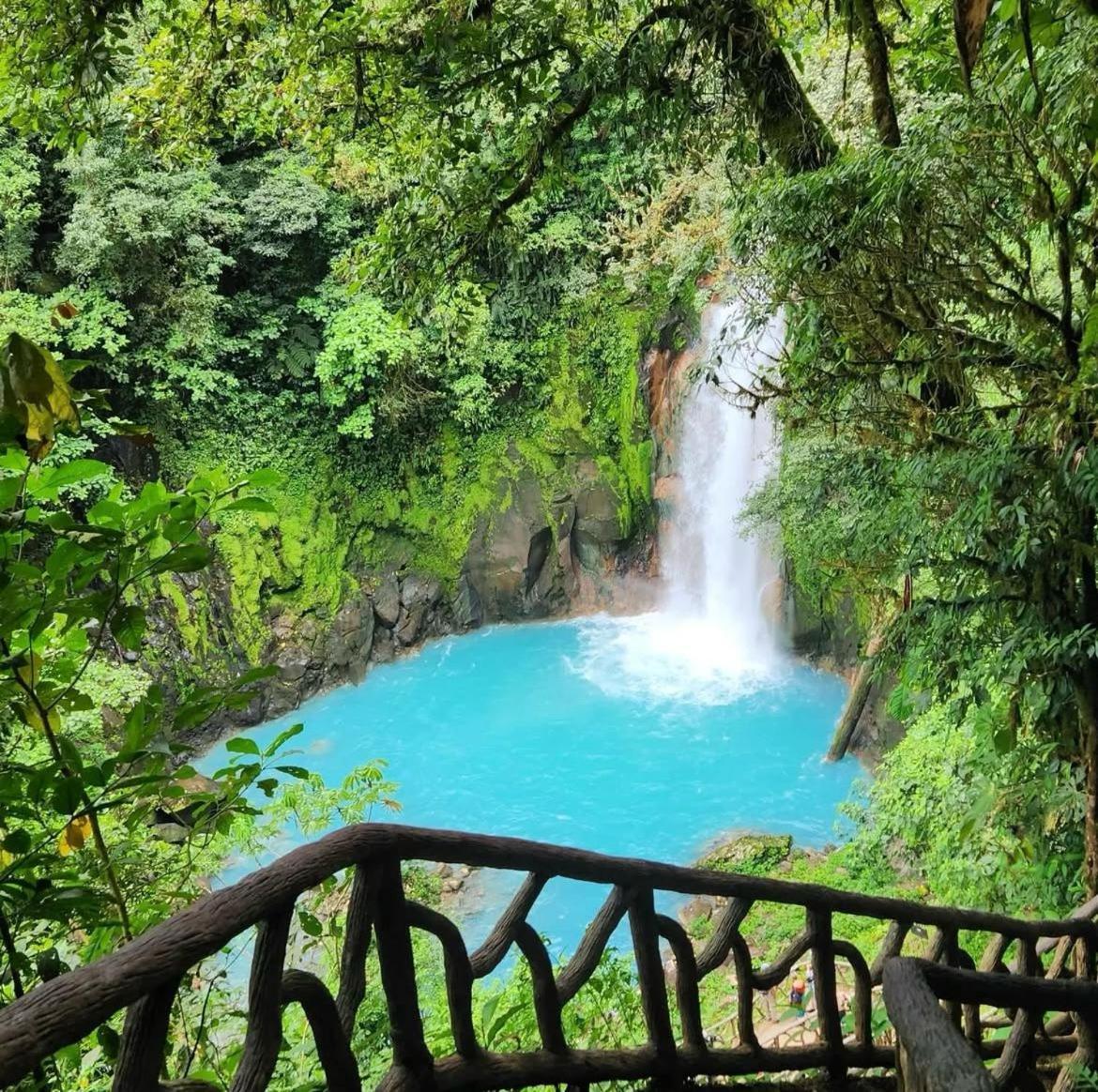 Garza del Sol Glamping Río Celeste Buganvilia Rio Celeste Exterior foto